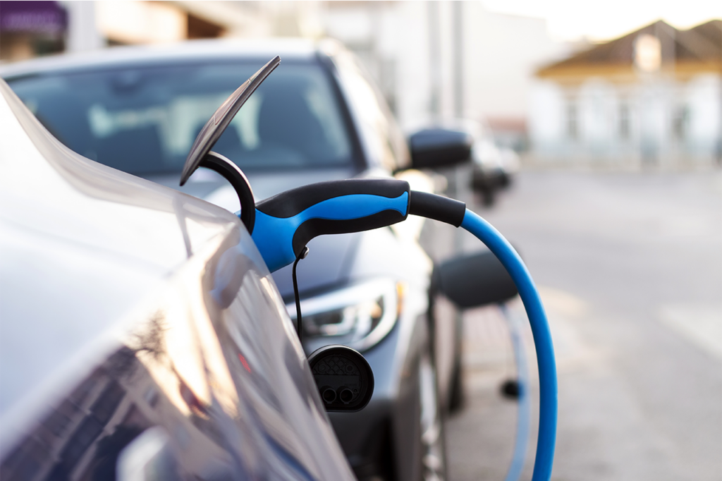 prise de borne recharge branche
