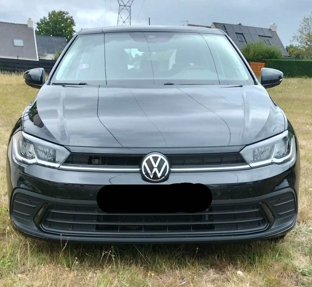 face polo.jpg